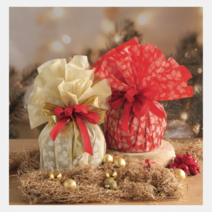 tondo tnt confezione panettone