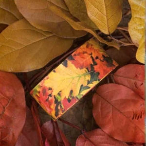 nastro-autunnale-foglie-autunno